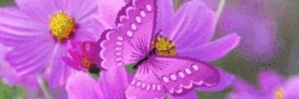 MayerlimVidal's profile banner image