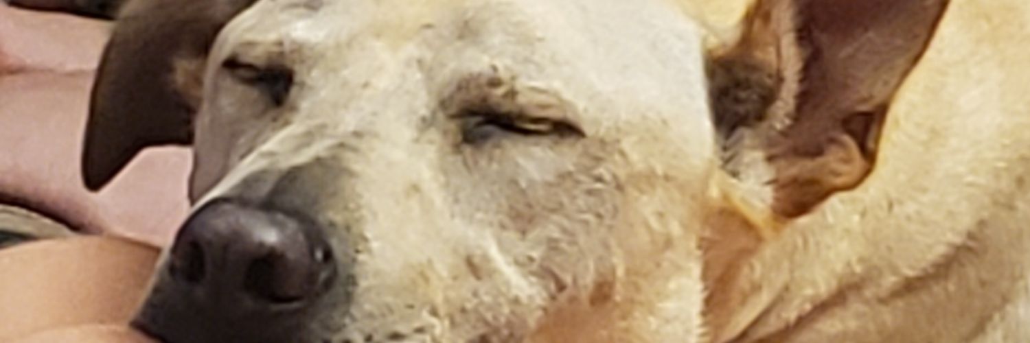 markb38's profile banner image