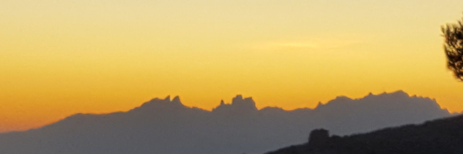 Xavier Sobrón banner