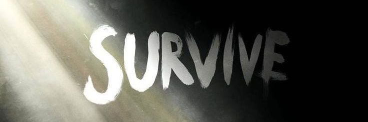 EmmaNYTimes's profile banner image