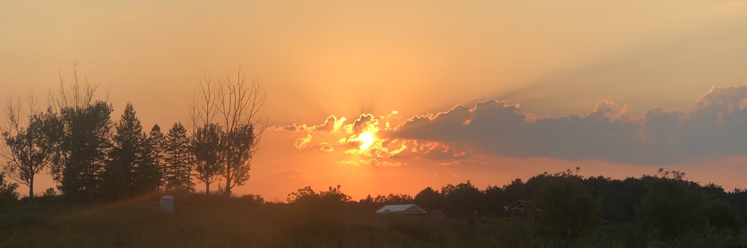 jmari94's profile banner image