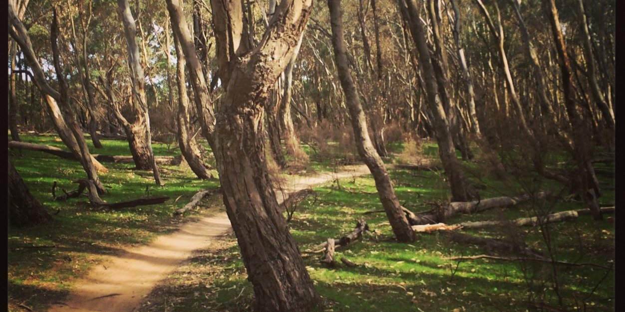 murcyMTB's profile banner image