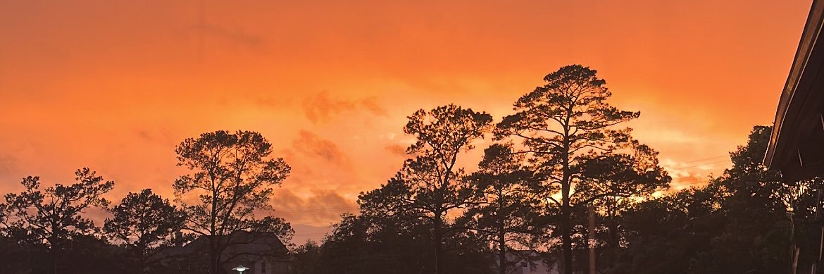 vicc ☀️ banner