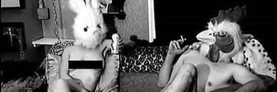 katiestarrz's profile banner image