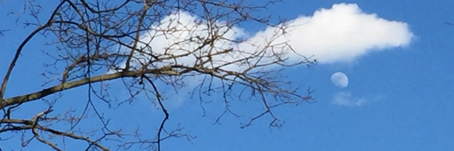 T banner
