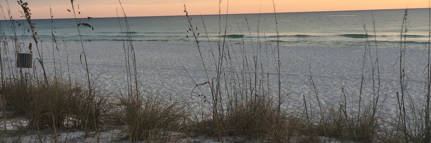 malynn70's profile banner image