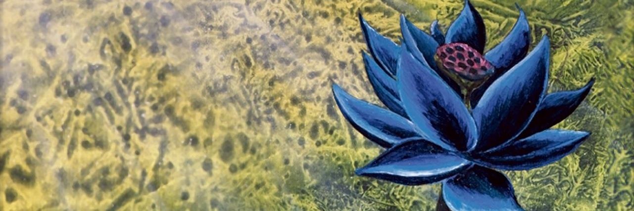 ynuj_13's profile banner image