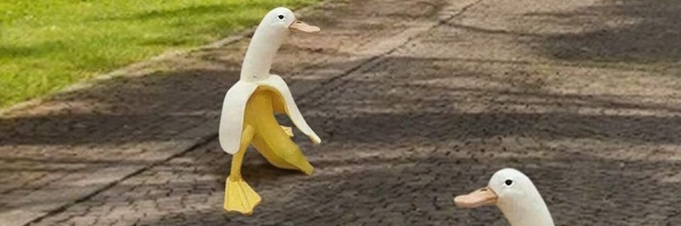 knarcnifer's profile banner image