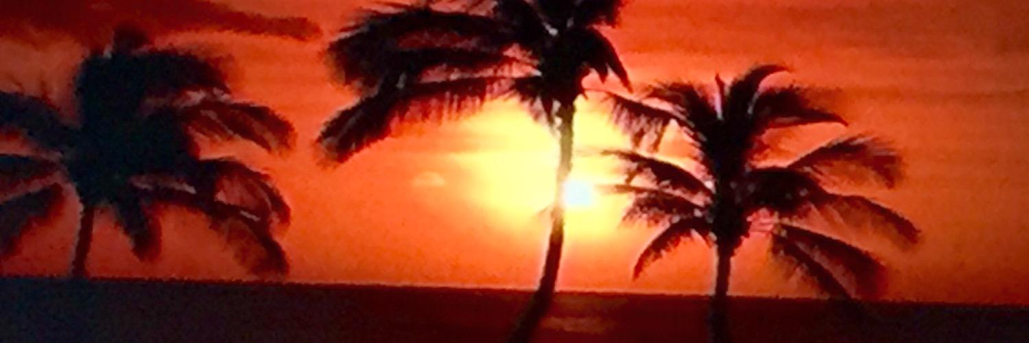 MunozDC's profile banner image