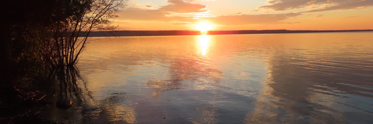 dianeinhamilton's profile banner image