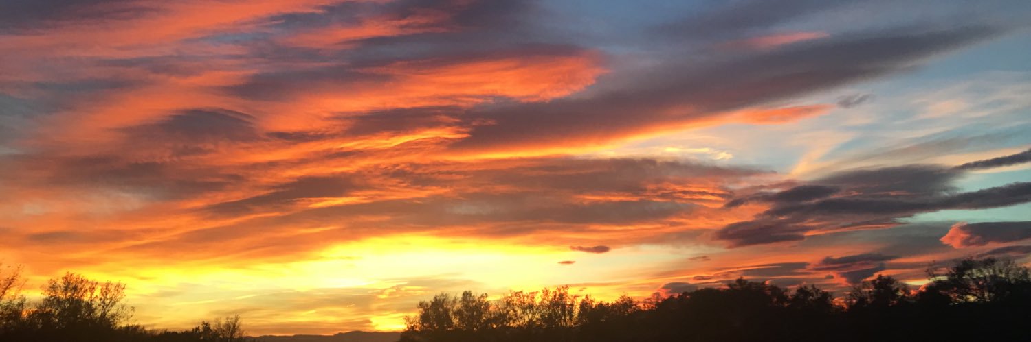 MQueraltM's profile banner image