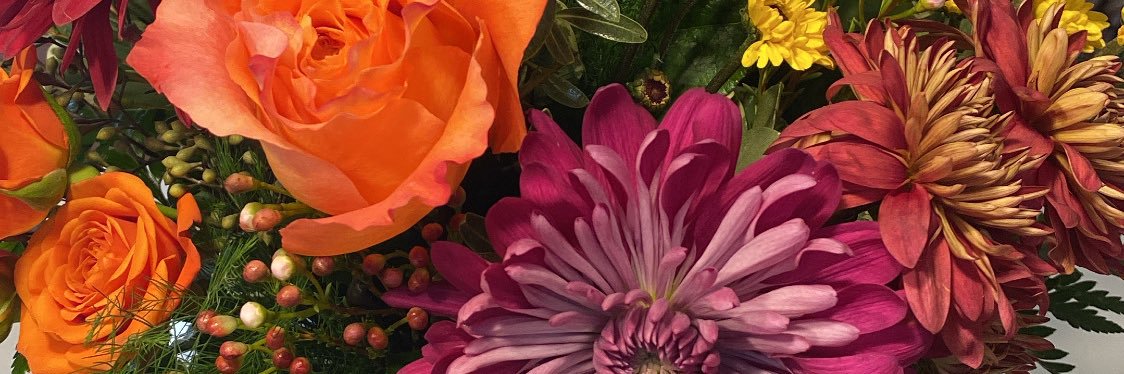 jackiejacc's profile banner image