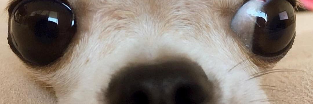 donggin3's profile banner image