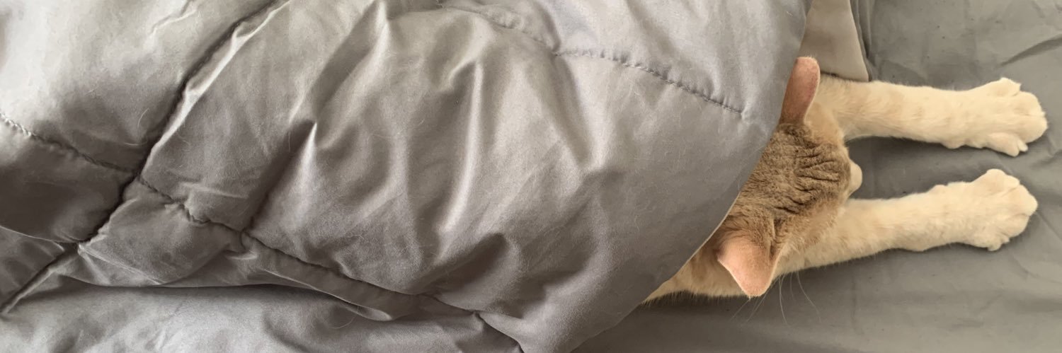 makemedonuts's profile banner image