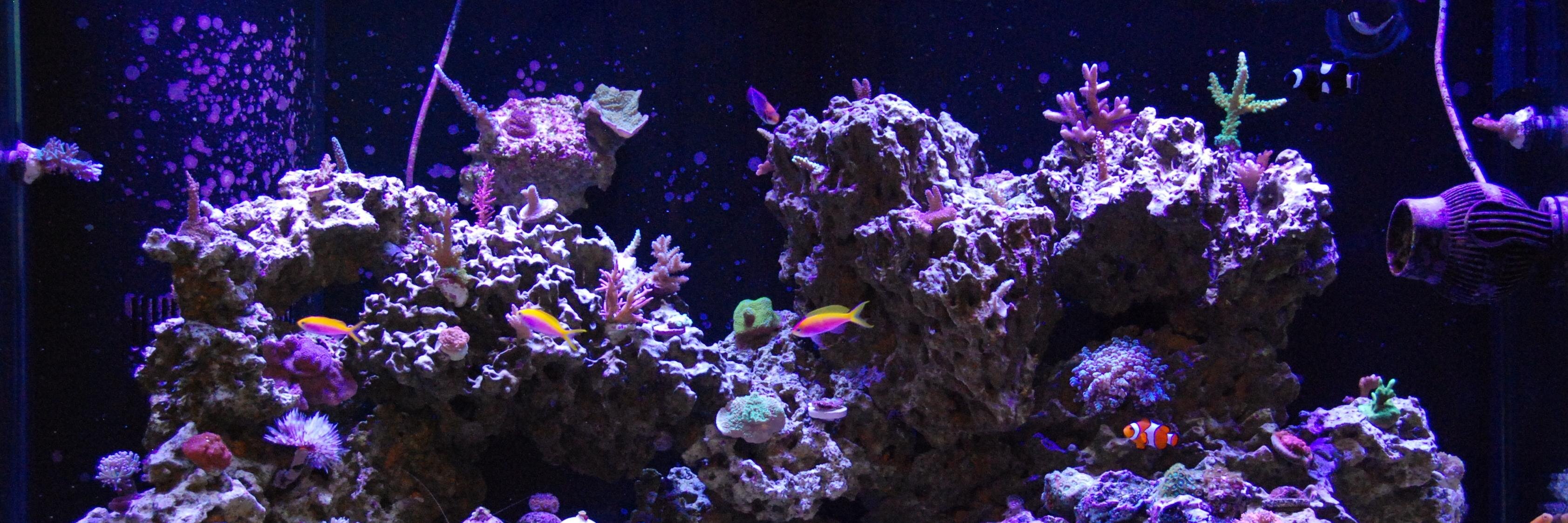 TweetsLive4ever's profile banner image