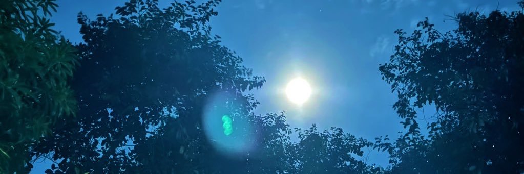 MishaLee24's profile banner image