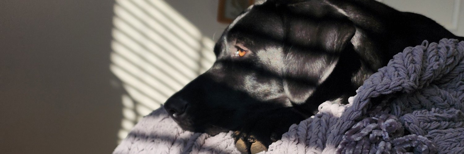 _emm2314's profile banner image