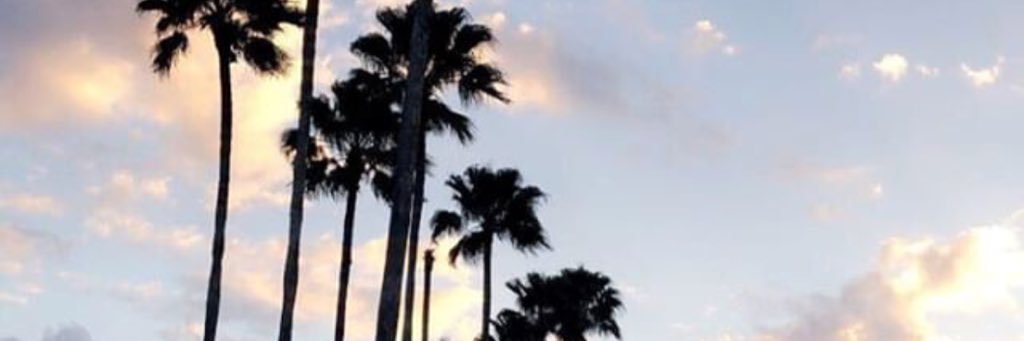 xoxo__char's profile banner image