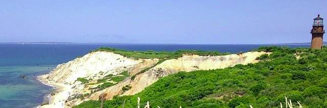 Saskia Sorrosa banner