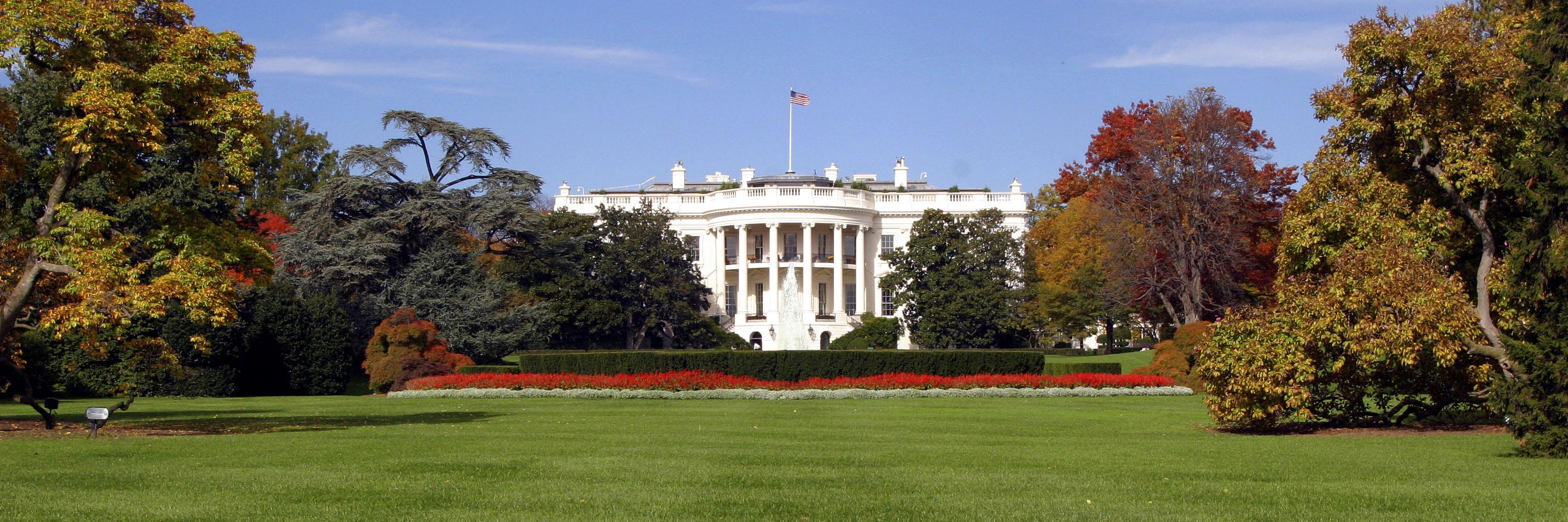 Reuters Politics banner