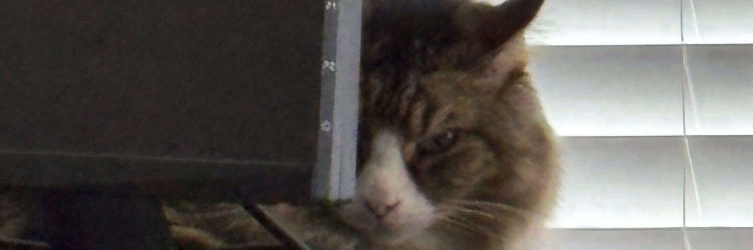 Mochila's profile banner image