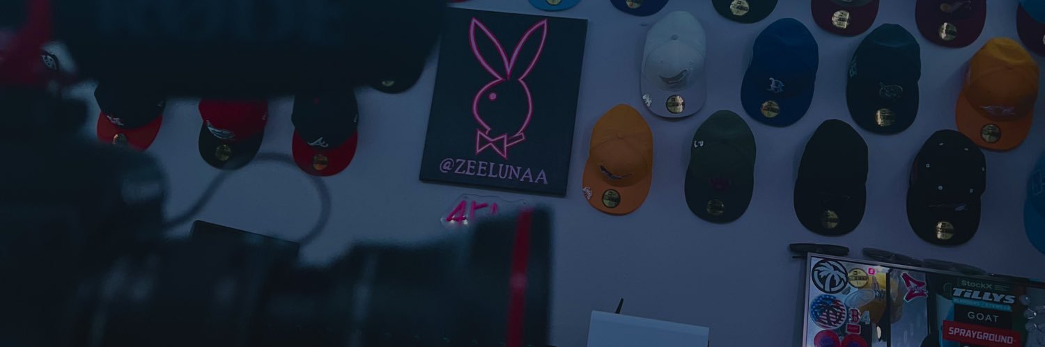 Zeelunaa4's profile banner image