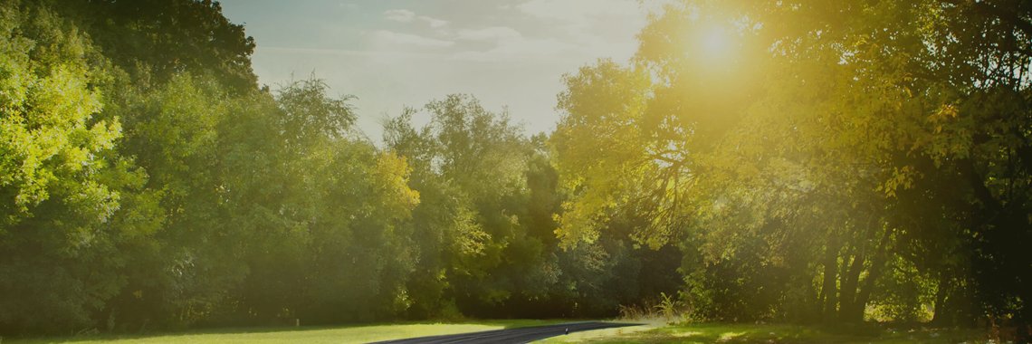 2Morrow Health banner