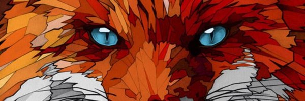 fox_droid Profile Banner