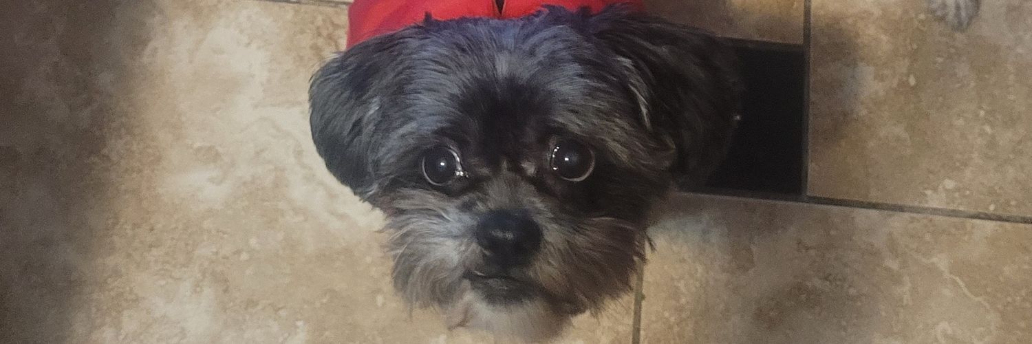 contrrob000's profile banner image