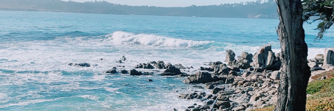 carolineweller_'s profile banner image