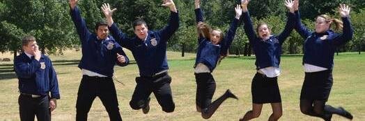 chapelhillffa's profile banner image