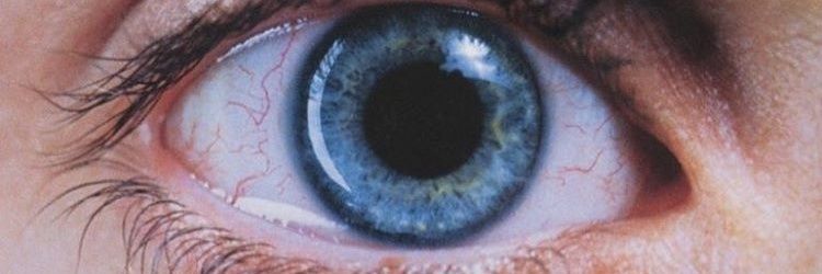 martyeism's profile banner image