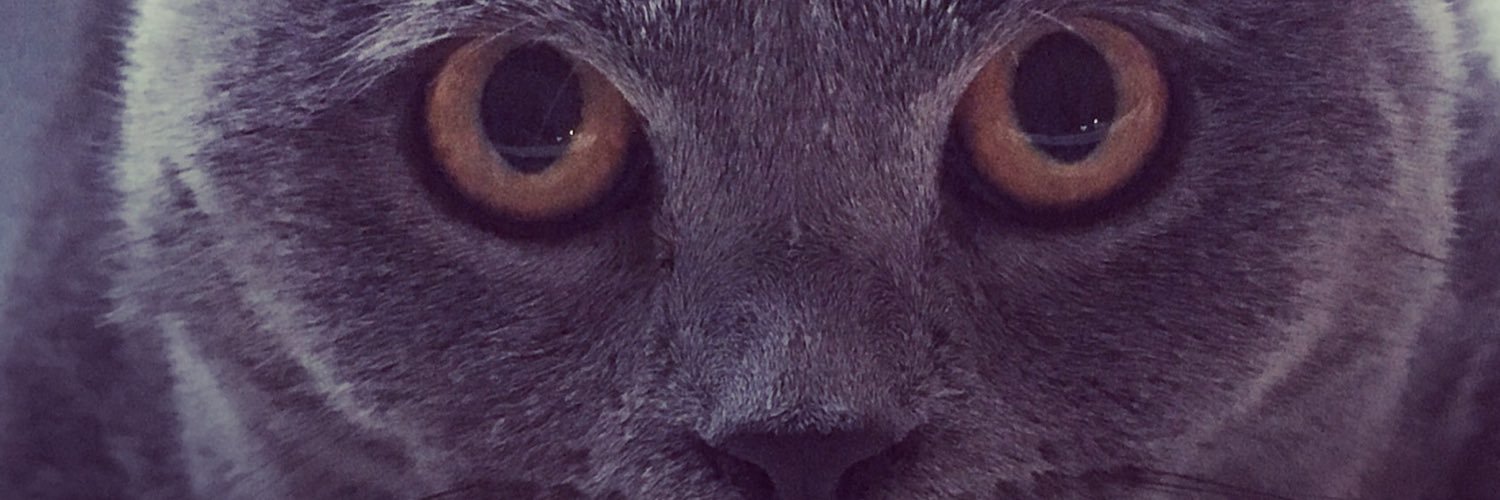Publius_Enigma_'s profile banner image