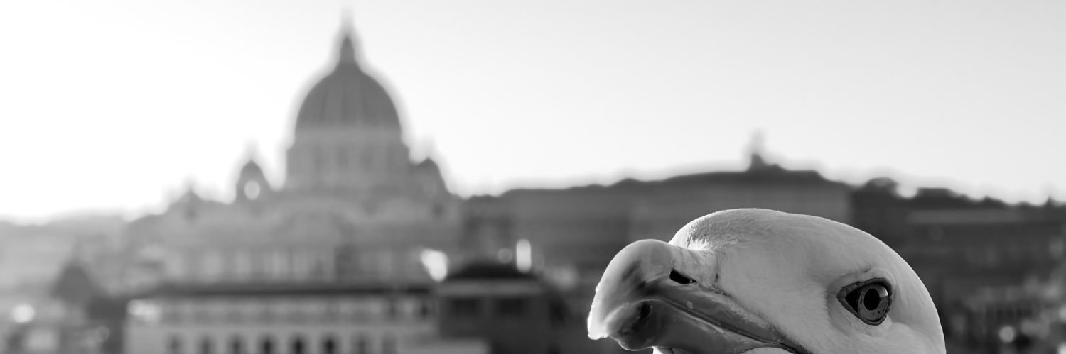 Harckens's profile banner image
