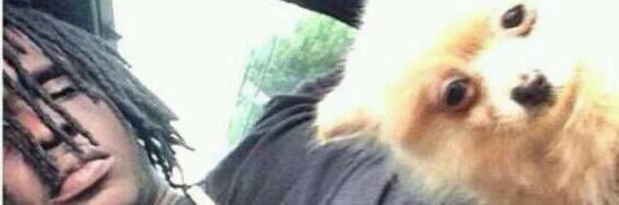 bobby with that tool banner