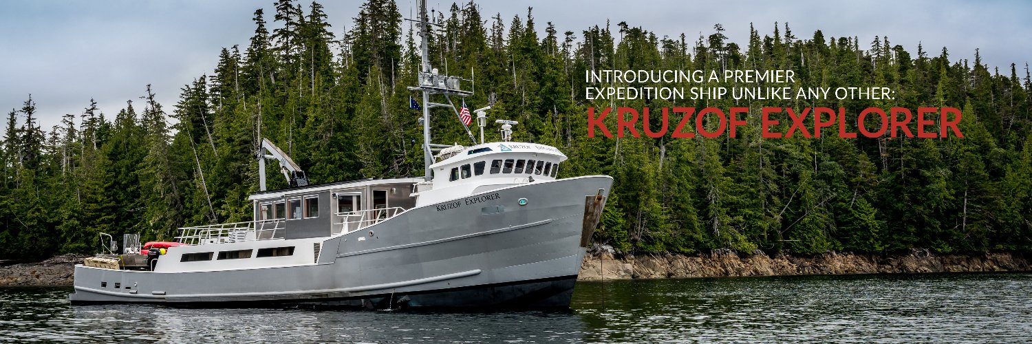 AKDreamCruises's profile banner image
