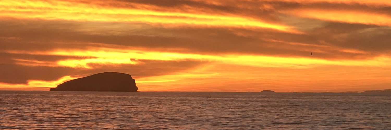 DanniShiels's profile banner image