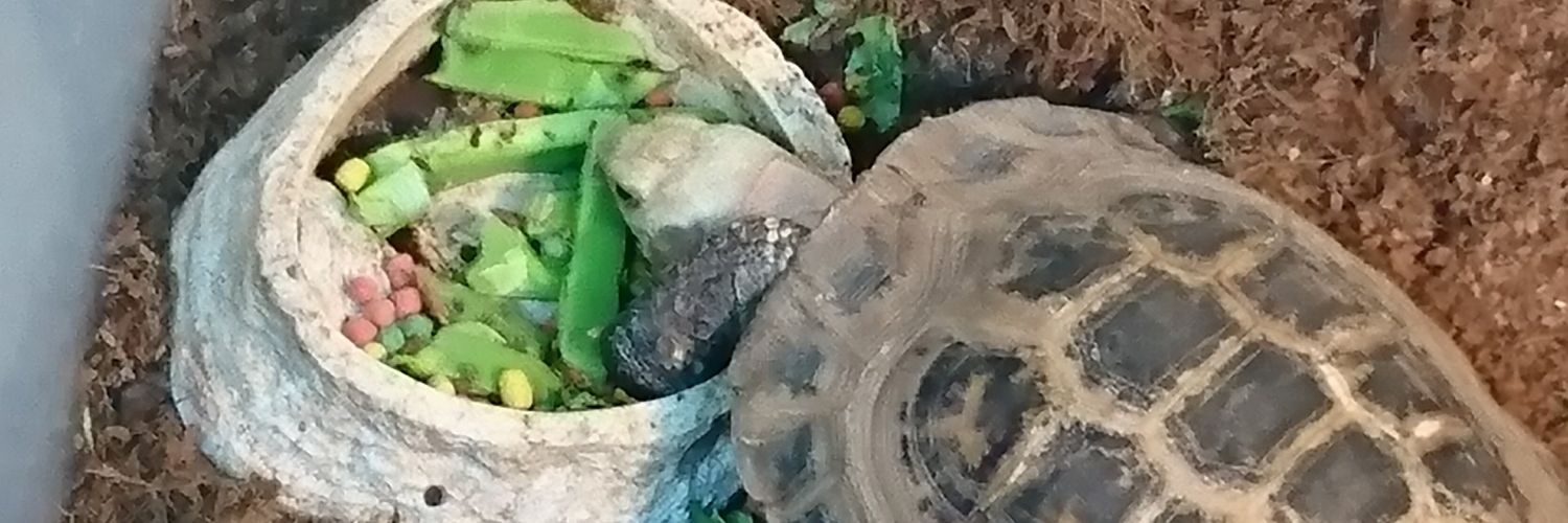 mt_mto's profile banner image