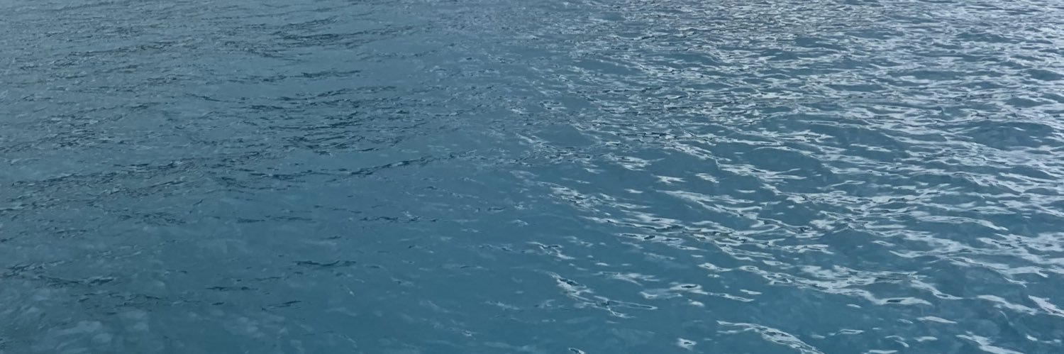 MsARG111's profile banner image