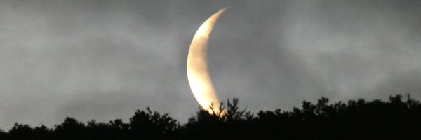 Erdbeerdampfe Profile Banner