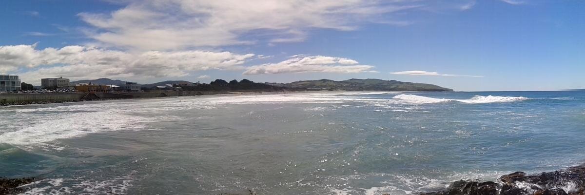 Dunedin Fun dad banner