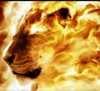hpredator's profile banner image