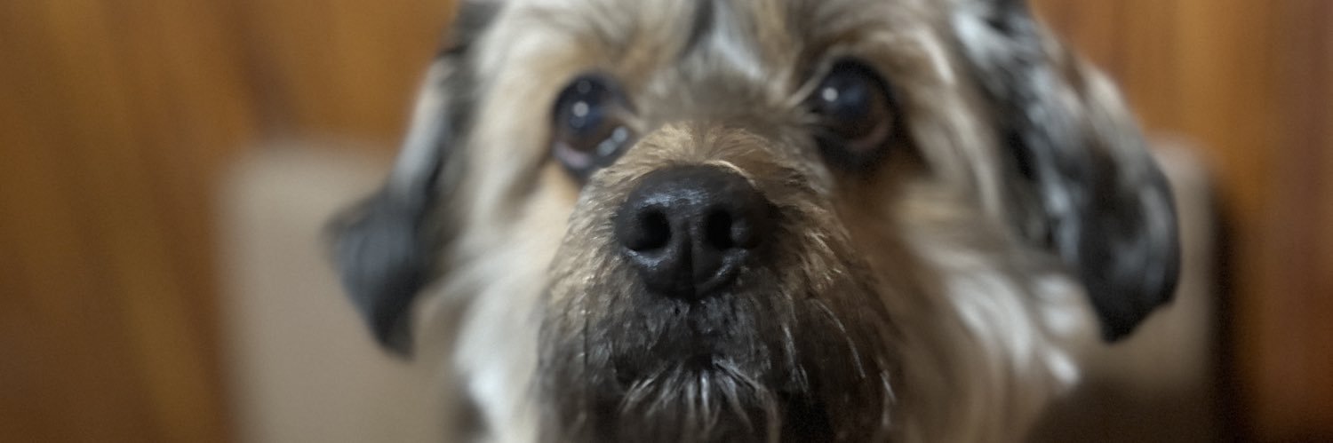 candiaz7's profile banner image