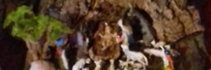 sorrisodolce's profile banner image