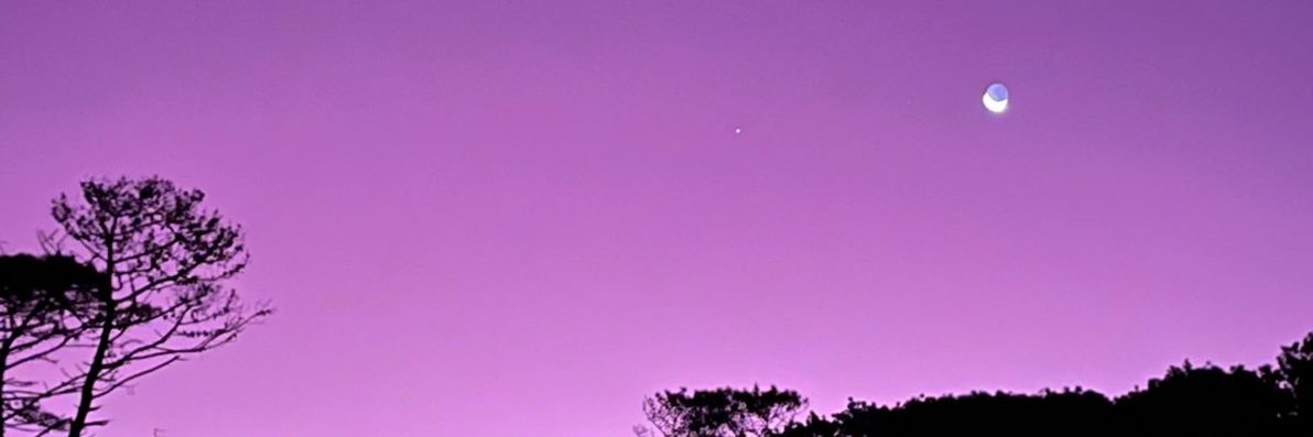 miafsanz's profile banner image