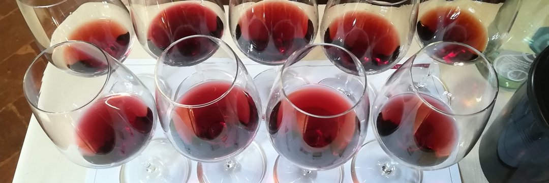 Roberta Zennaro banner