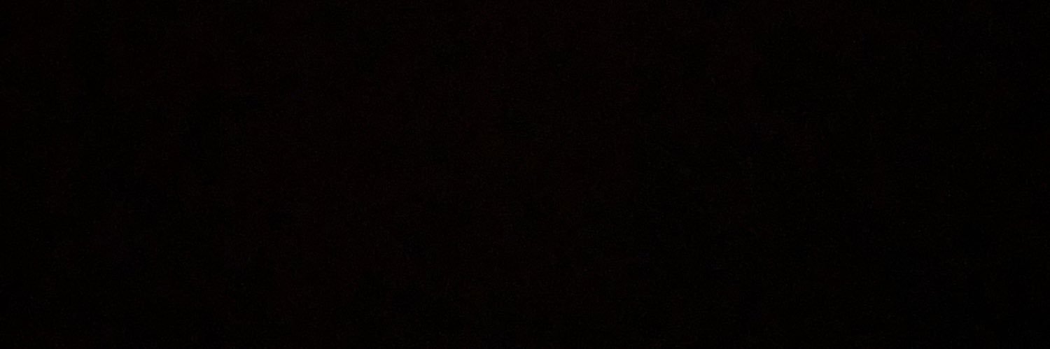 zander banner