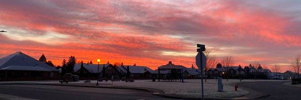 ryanositis Profile Banner