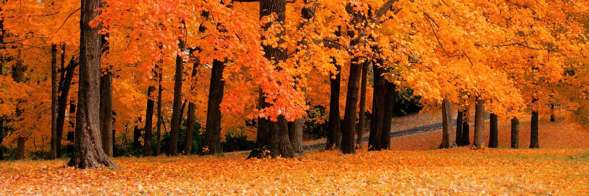 하이플러스 banner