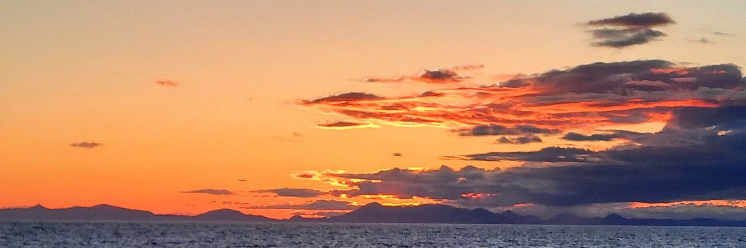 Dave Robinson banner